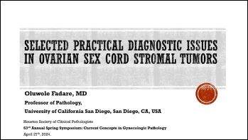 3. Selected Practical Diagnostic Issues in Ovarian Sex Cord Stromal Tumors.pdf