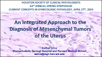 6. An Integrated Approach to the Diagnosis of Mesenchymal Tumors of the Uterus.pdf